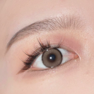 【散光】Lenbling Eye Only 1 Month FloRing Mono Brown 每月抛棄散光彩妝隱形眼鏡